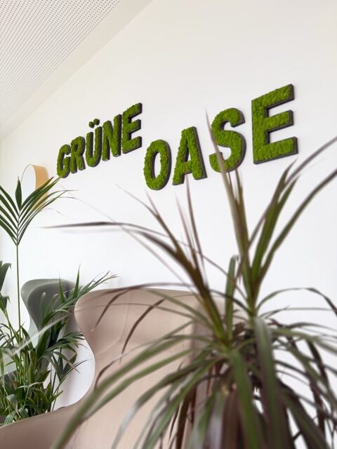 Die Grüne Oase mit Pflanzen und Sitzgelegenheiten in der Tagespflege